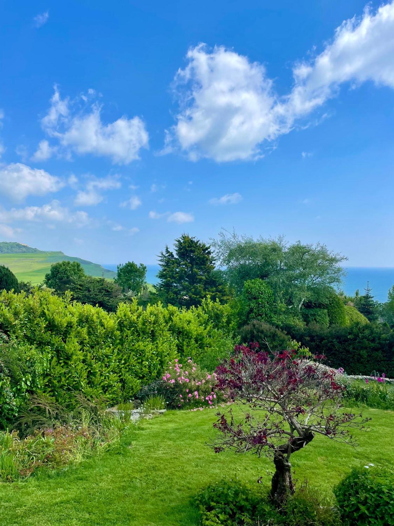 Stunning Charmouth Property With Bay Views! Kültér fotó