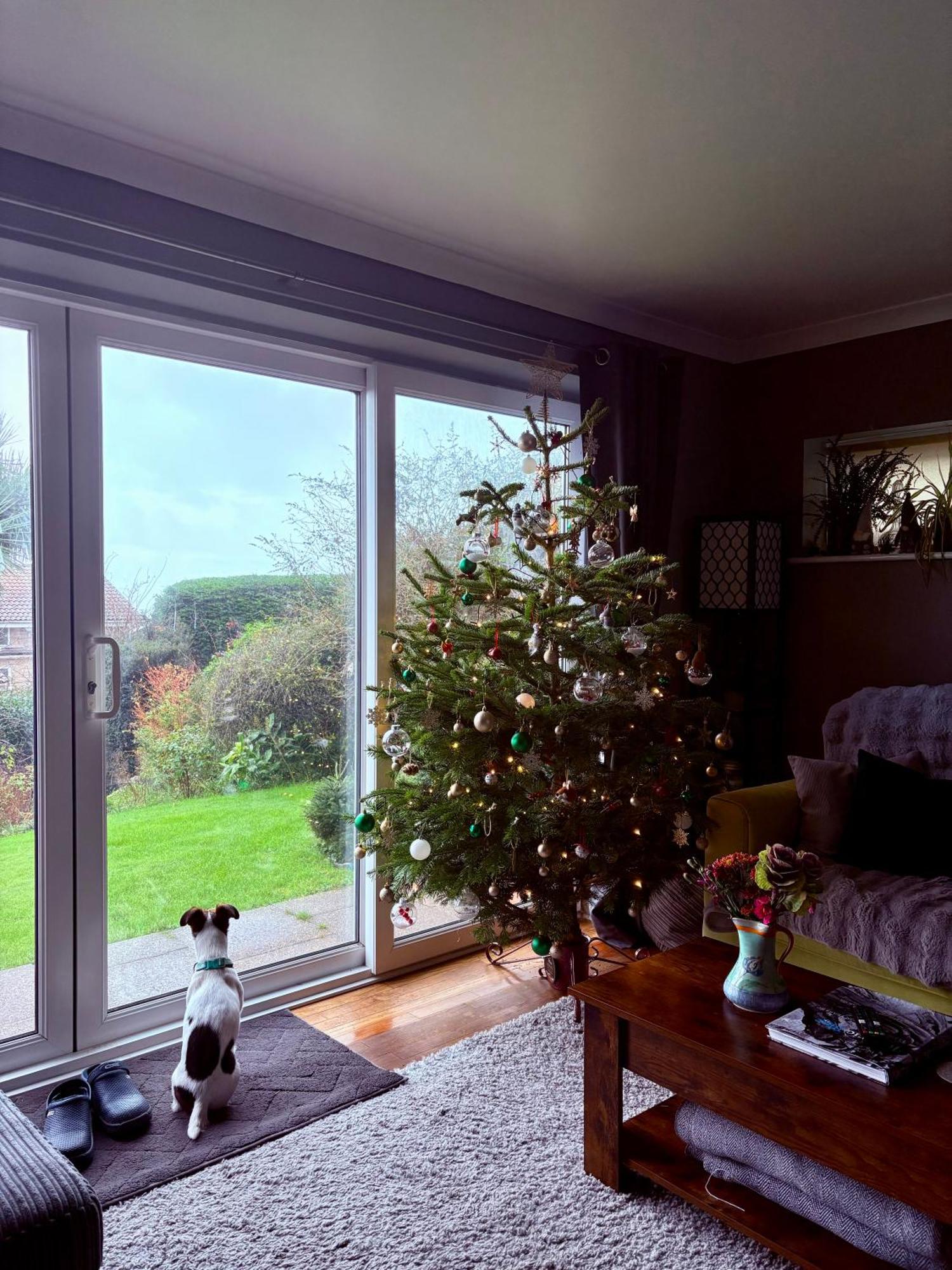 Stunning Charmouth Property With Bay Views! Kültér fotó